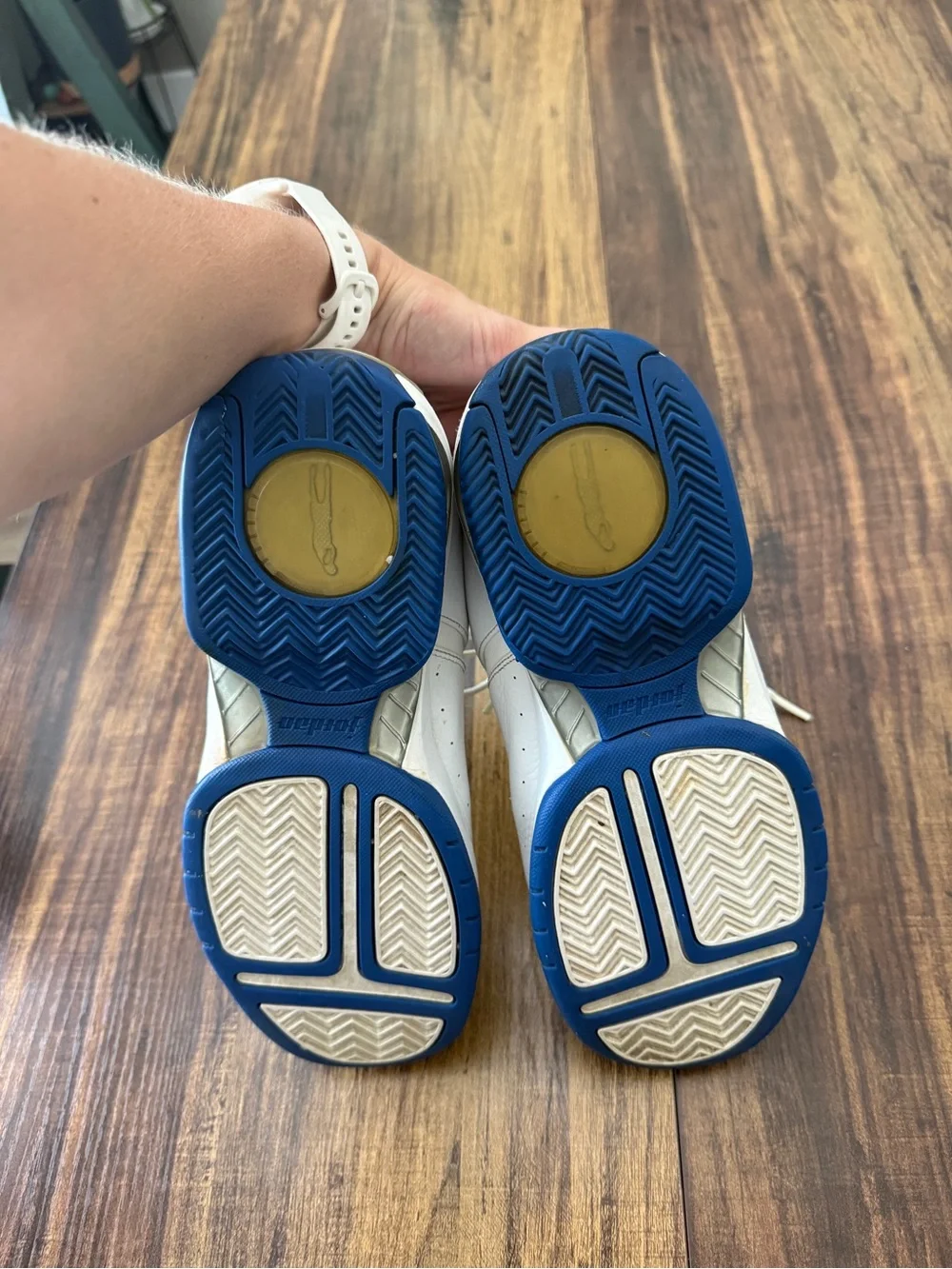 2005 Nike Air Jordan Team Reign White and Blue- retro